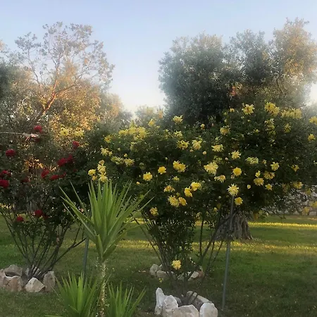 Arhondula Вилла *