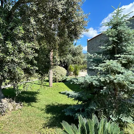 Arhondula Villa *