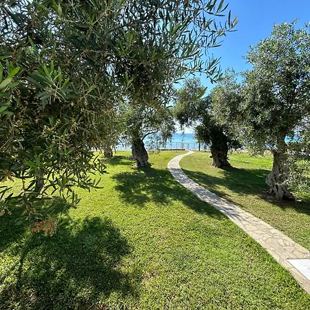 Arhondula Вилла Принос