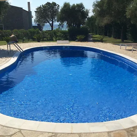 Arhondula Принос